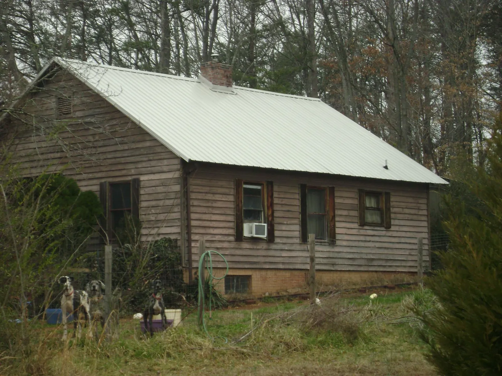 White metal roof on an old wood sided farmhouse, from a Metal Roof Installation job in Woodland